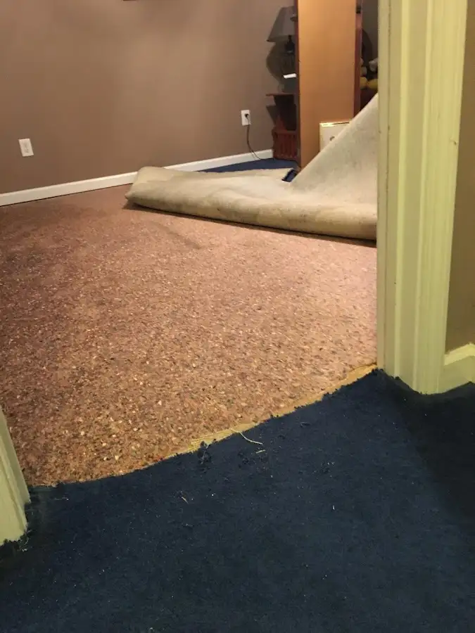Carpet pad removal revealing water damage during Drying & Dehumidification in Sun Prairie