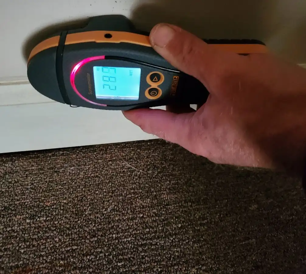 Moisture detection at baseboard during Mold Inspection & Testing in Sun Prairie